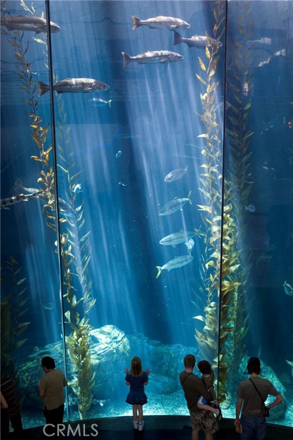 Detail Gallery Image 35 of 39 For 800 E Ocean Bld #1010,  Long Beach,  CA 90802 - 1 Beds | 1 Baths