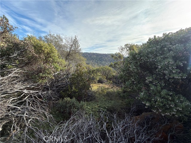 0 Top View Court, Oroville CA: https://media.crmls.org/medias/e10d79d6-7748-4f60-8482-df07d4d60db8.jpg