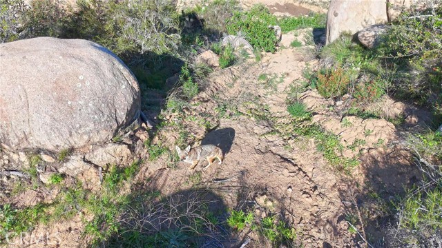 Detail Gallery Image 7 of 39 For 44888 Vista Del Mar, Temecula,  CA 92590 - – Beds | – Baths