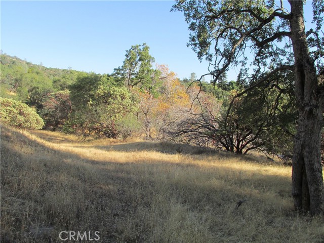 Detail Gallery Image 47 of 54 For 2 Ac Old Oaks Ct, North Fork,  CA 93643 - – Beds | – Baths