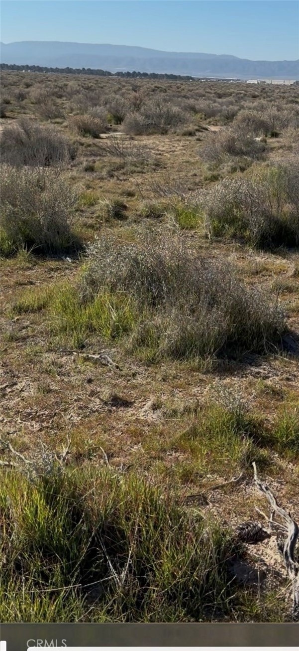 0 Avenue E, Lancaster CA: https://media.crmls.org/medias/e11a28db-1a89-4c60-9cee-fb9336cd3f4e.jpg