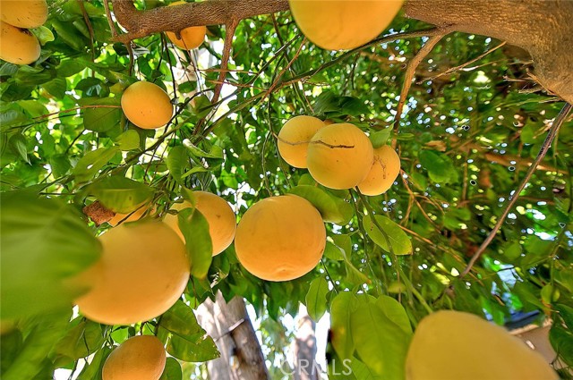 Detail Gallery Image 29 of 52 For 17860 E Laxford, Azusa,  CA 91702 - 3 Beds | 1 Baths