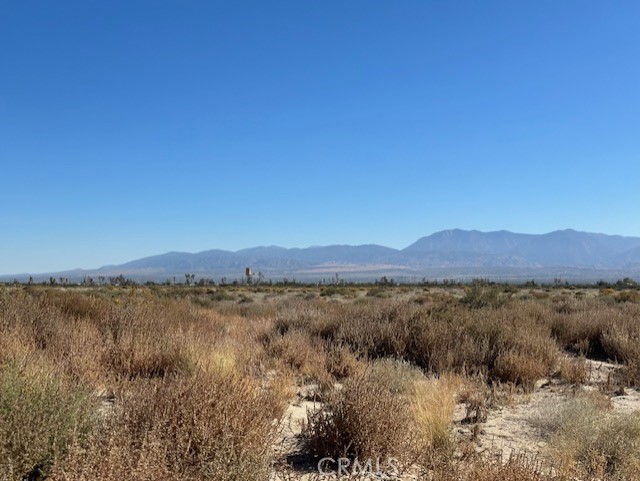 Detail Gallery Image 4 of 14 For 0 E Palmdale Bld, Palmdale,  CA 93552 - – Beds | – Baths