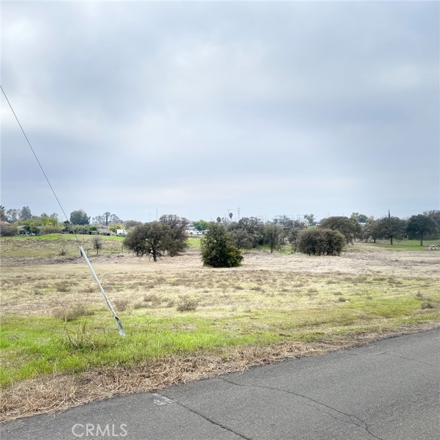 Detail Gallery Image 5 of 7 For 0 Greenville, Oroville,  CA 95965 - – Beds | – Baths