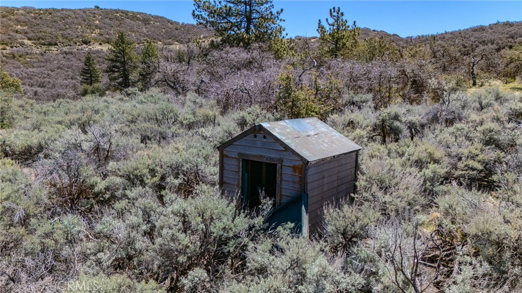 MLS #PI25088989 img 7