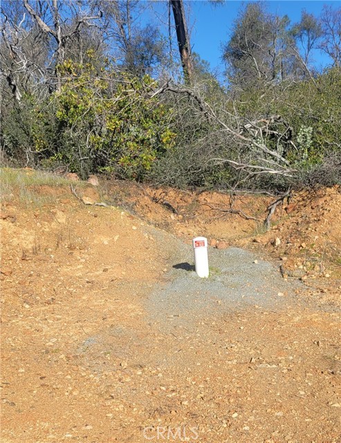 0 Condor, Oroville CA: https://media.crmls.org/medias/e12e9507-62d1-42c6-9f4e-4692ab5f45f7.jpg