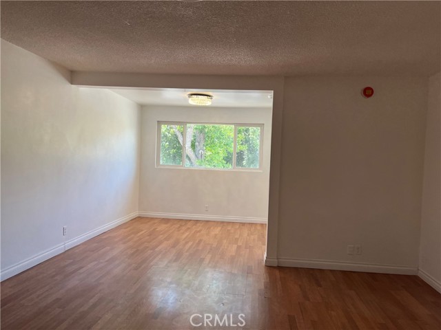 Very bright, lot of natural light, greenery views!