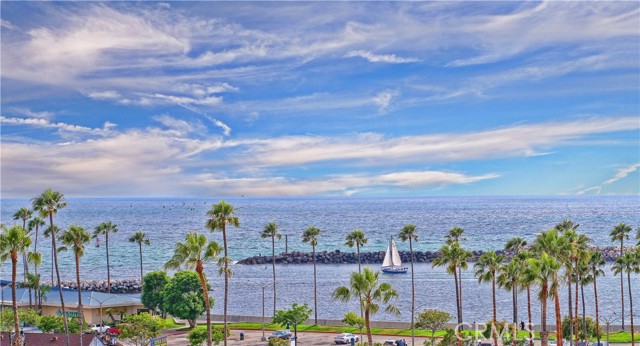Watch the Sailboats Glide By