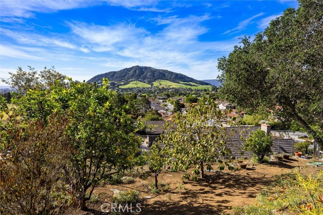 Detail Gallery Image 42 of 62 For 957 Skyline Dr, San Luis Obispo,  CA 93405 - 4 Beds | 2 Baths