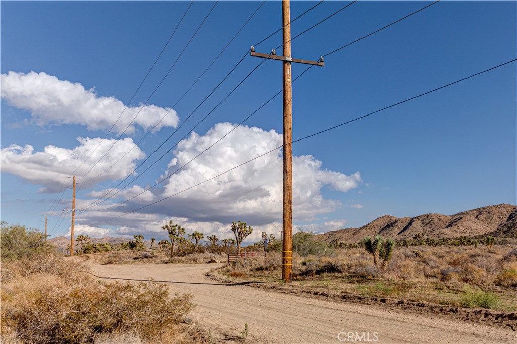 MLS #JT25229239 image #5