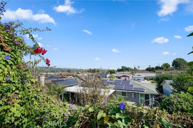peek-a-boo view from backyard
