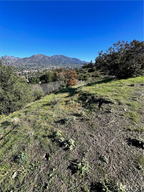Detail Gallery Image 32 of 40 For 10171 N Sherman Grove, Sunland,  CA 91040 - – Beds | – Baths
