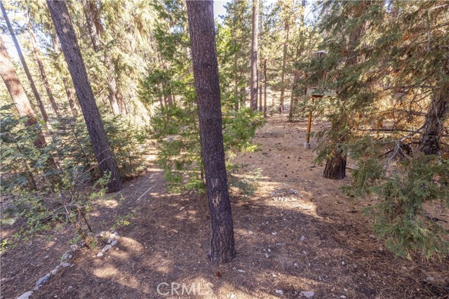 43320 Sand Canyon, Big Bear Lake, CA 92315