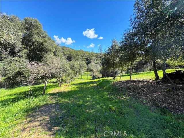 Detail Gallery Image 46 of 60 For 14605 Tomki Rd, Redwood Valley,  CA 95470 - 3 Beds | 2 Baths