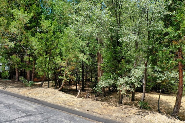 Detail Gallery Image 13 of 15 For 27513 Meadow Bay Dr, Lake Arrowhead,  CA 92352 - – Beds | – Baths