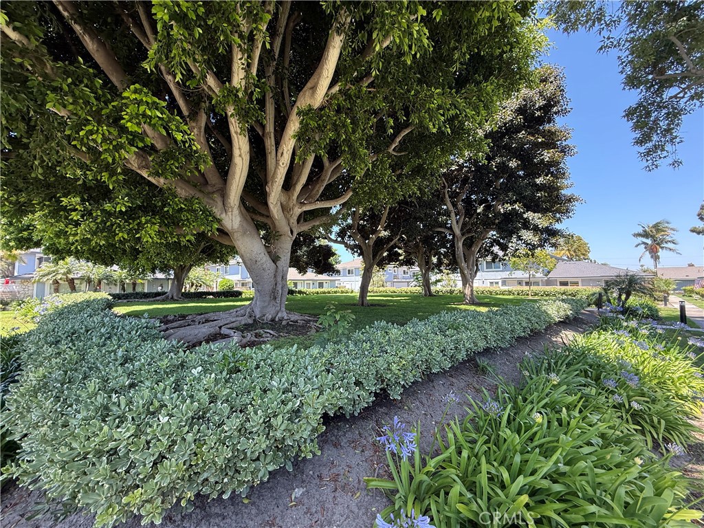 https://media.crmls.org/medias/e1535fbe-e549-4568-91b3-f87416bcac1d.jpg?preset=X-Large