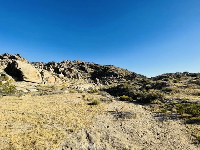 Detail Gallery Image 12 of 46 For 46328304 Joshua Rd, Apple Valley,  CA 92307 - – Beds | – Baths