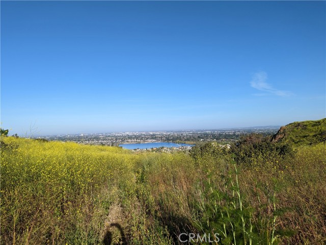 5927 E Creekside Avenue, Orange CA: https://media.crmls.org/medias/e15b8058-2960-43ba-b7d2-bcb54769dff2.jpg