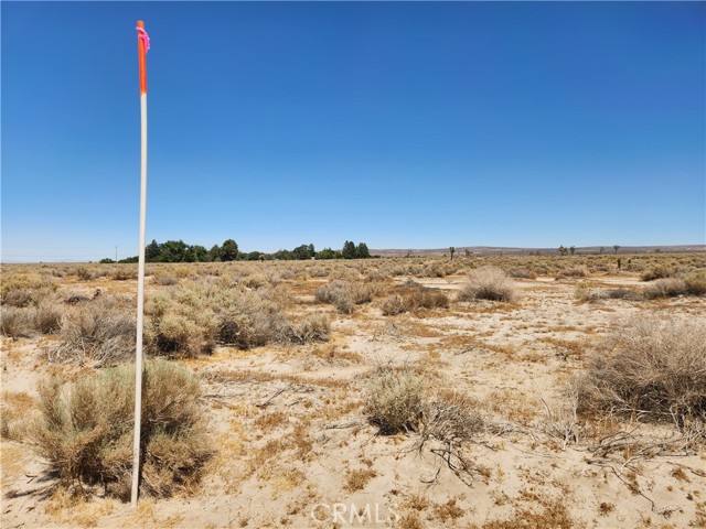 Image 4 of 6 For 2 122 Street