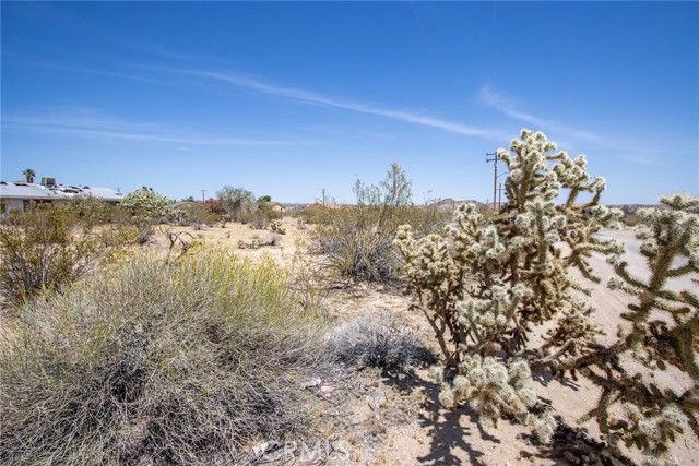 Detail Gallery Image 12 of 15 For 63000 Jadeite St, Joshua Tree,  CA 92252 - – Beds | – Baths