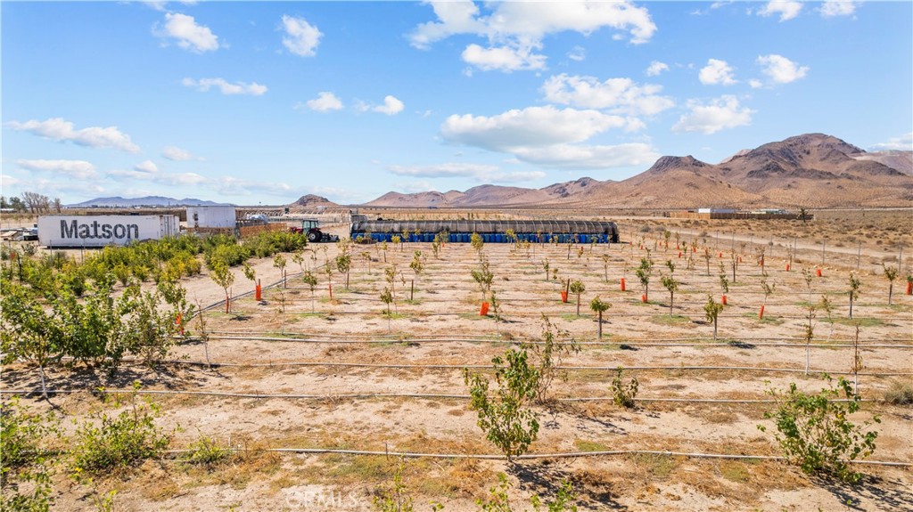 MLS #SR25232873 image #1