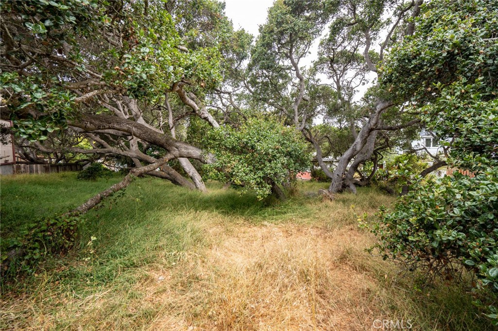 MLS #SC25145989 image #14