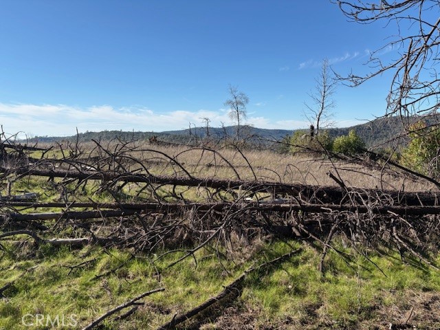 Detail Gallery Image 7 of 34 For 8870 Oro Quincy, Berry Creek,  CA 95916 - – Beds | – Baths