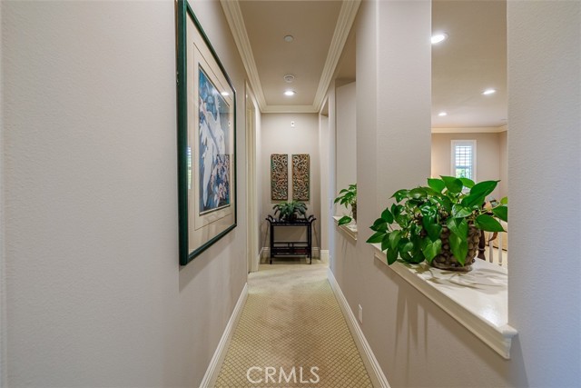 Detail Gallery Image 51 of 71 For 26582 Paseo Callado, San Juan Capistrano,  CA 92675 - 5 Beds | 5/1 Baths