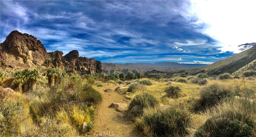 MLS #NP25217101 image #47