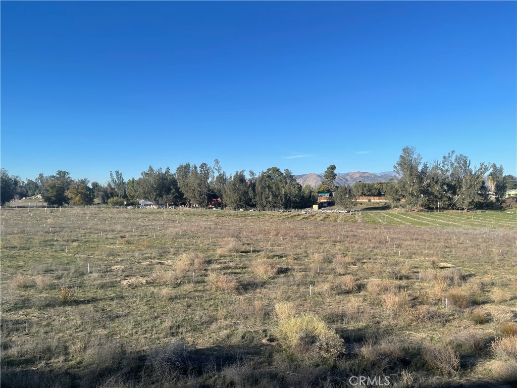 MLS #WS25276306 image #36