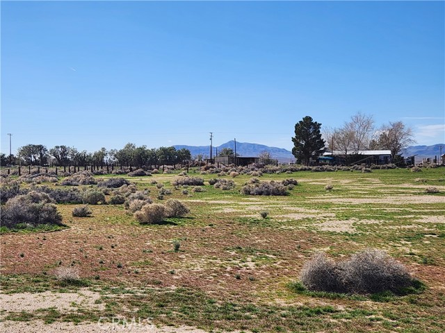 Detail Gallery Image 9 of 20 For 0 Yucca Rd, Newberry Springs,  CA 92365 - – Beds | – Baths