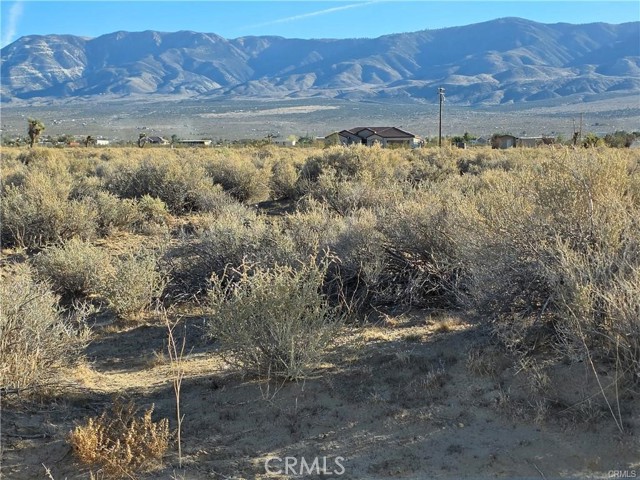 Detail Gallery Image 4 of 4 For 800 Desert View Rd, Lucerne Valley,  CA 92356 - – Beds | – Baths