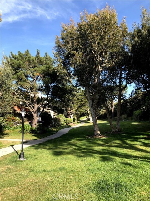 Community Trail