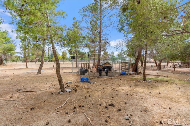 Detail Gallery Image 48 of 55 For 10080 Valle Vista Rd, Phelan,  CA 92371 - 3 Beds | 2/1 Baths