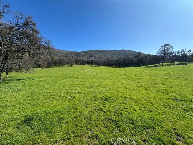 Front Image Thumbnail for CRMP26032622