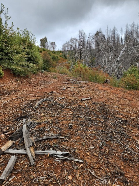 Detail Gallery Image 6 of 8 For 0 Oro-Quincy, Berry Creek,  CA 95916 - – Beds | – Baths