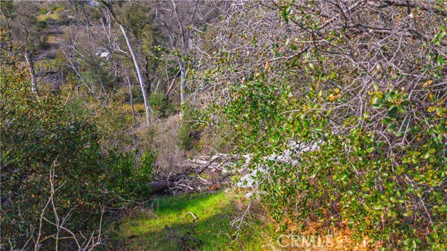 Detail Gallery Image 31 of 43 For 2320 Painted Pony Rd, Somerset,  CA 95684 - – Beds | – Baths