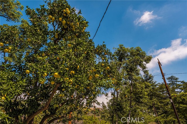 Detail Gallery Image 40 of 40 For 4939 Lowell Ave, La Crescenta,  CA 91214 - 3 Beds | 1 Baths