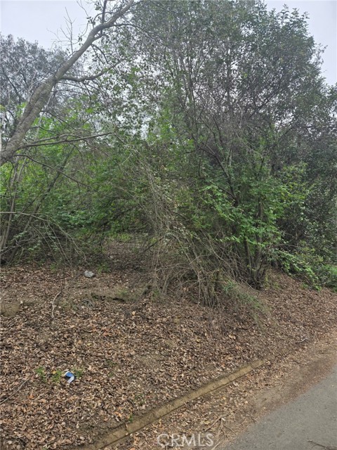 Detail Gallery Image 4 of 10 For 16872 Sumach, Chino Hills,  CA 91709 - – Beds | – Baths