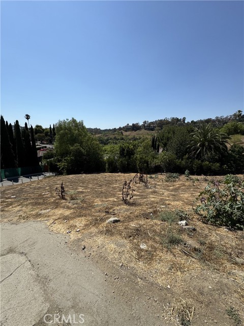 Detail Gallery Image 5 of 6 For 3907 Locke Ave, Los Angeles,  CA 90032 - – Beds | – Baths