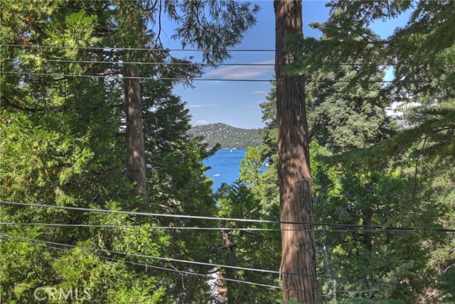 Detail Gallery Image 47 of 48 For 324 Mittry Ln, Lake Arrowhead,  CA 92352 - 2 Beds | 1/1 Baths