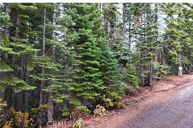 Detail Gallery Image 3 of 14 For 1100 Cleghorn Dr, Quincy,  CA 95971 - – Beds | – Baths