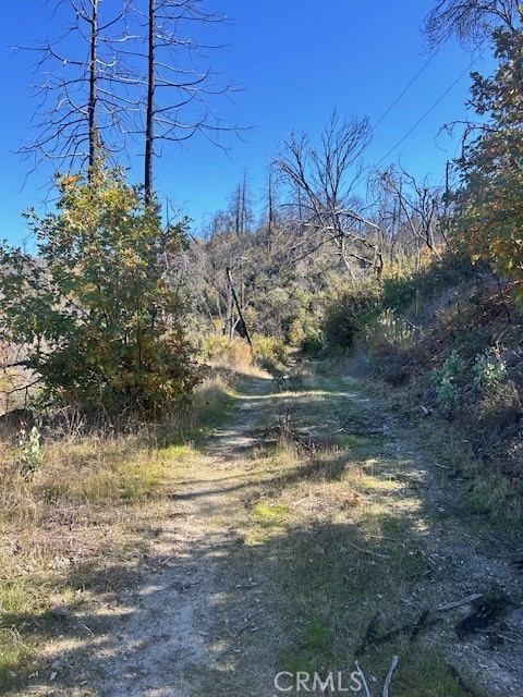 Detail Gallery Image 7 of 39 For 0 Craig Access, Feather Falls,  CA 95940 - – Beds | – Baths