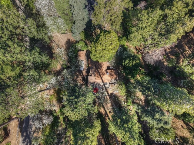 Detail Gallery Image 42 of 52 For 851 Cottage Grove, Lake Arrowhead,  CA 92352 - 2 Beds | 2 Baths