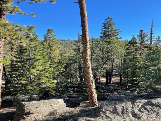 15328043 Piute Pines, Caliente, CA 