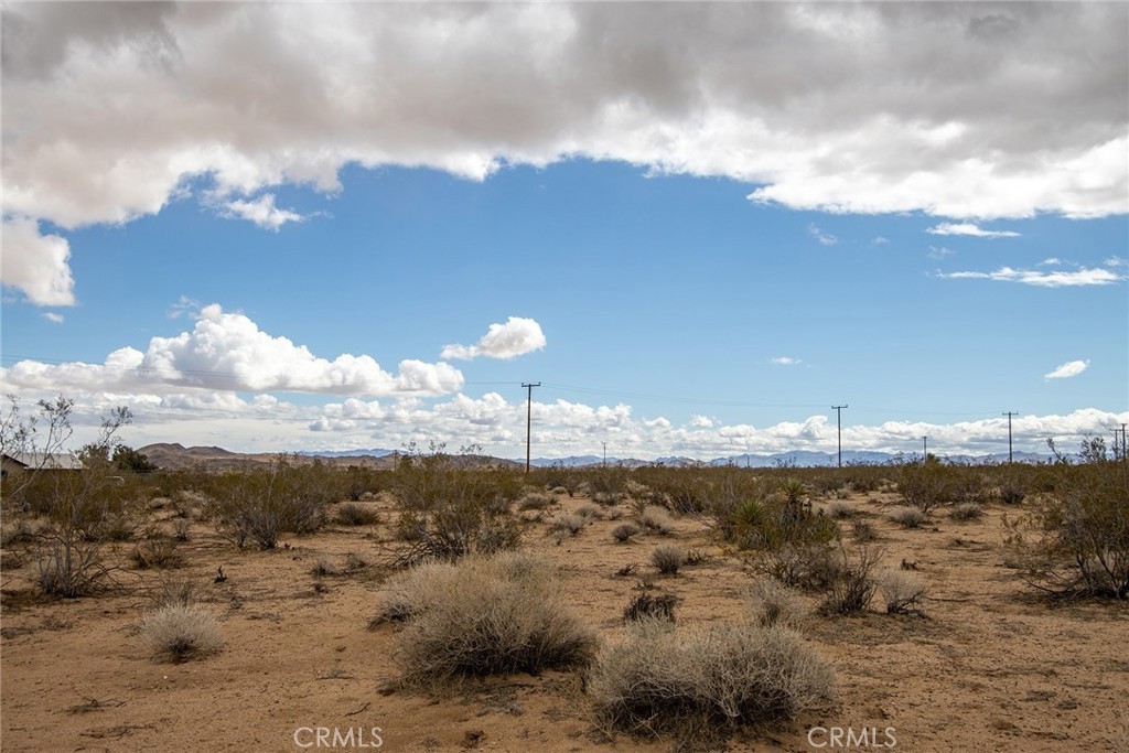 MLS #PW25037996 image #6