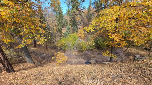 Detail Gallery Image 12 of 19 For 1000 Butte Ave, –,  CA 92314 - – Beds | – Baths