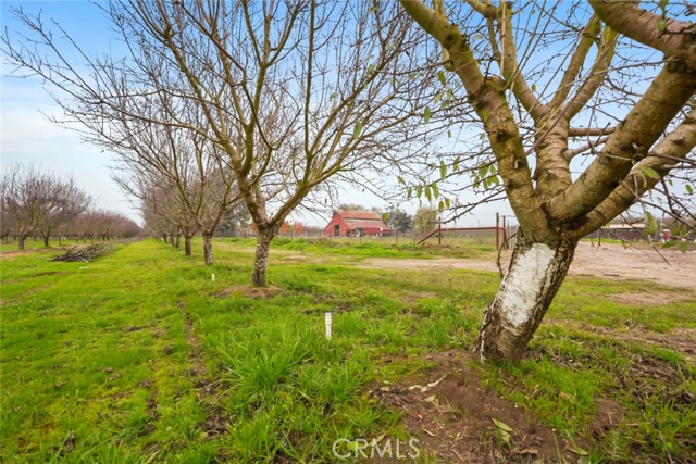 Detail Gallery Image 20 of 47 For 16221 Carrolton, Escalon,  CA 95320 - – Beds | – Baths