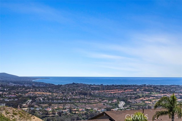 31202 Palma Drive, Laguna Niguel CA: https://media.crmls.org/medias/e1ce22ea-dc27-49a3-b720-ed33a28430cc.jpg