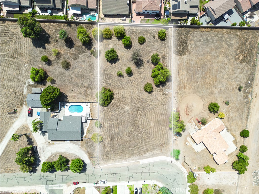 MLS #SW25175331 image #4